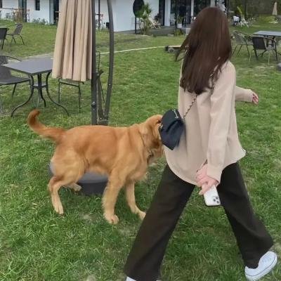 侠骨柔情赤子心